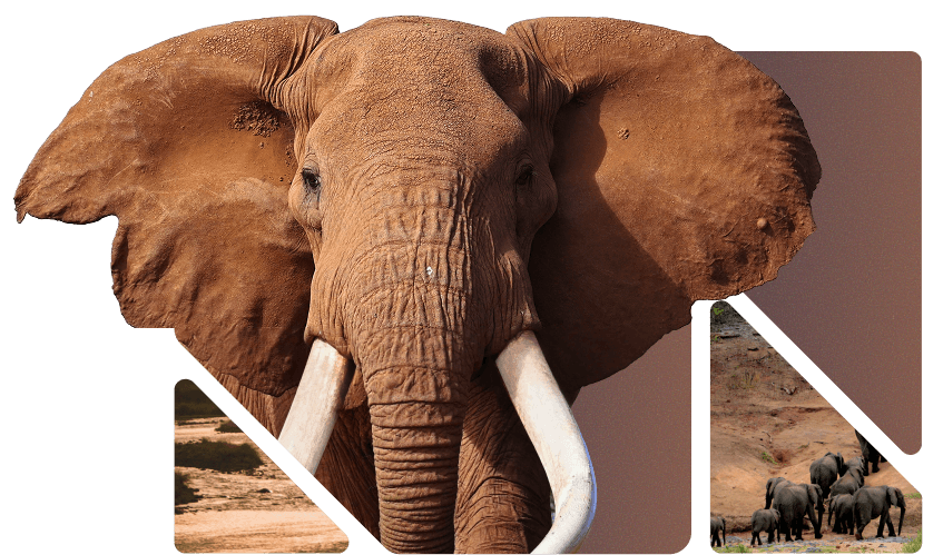 Challenge Illustration