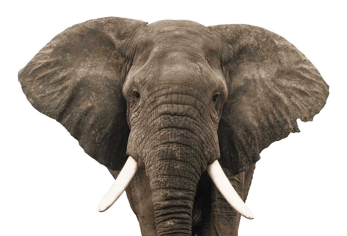 Hugo Purplepatch – content strategy