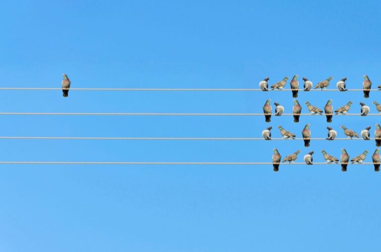 How Start Ups Gain By Investing in Content